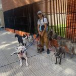 Dog Walker in Buenos Aires