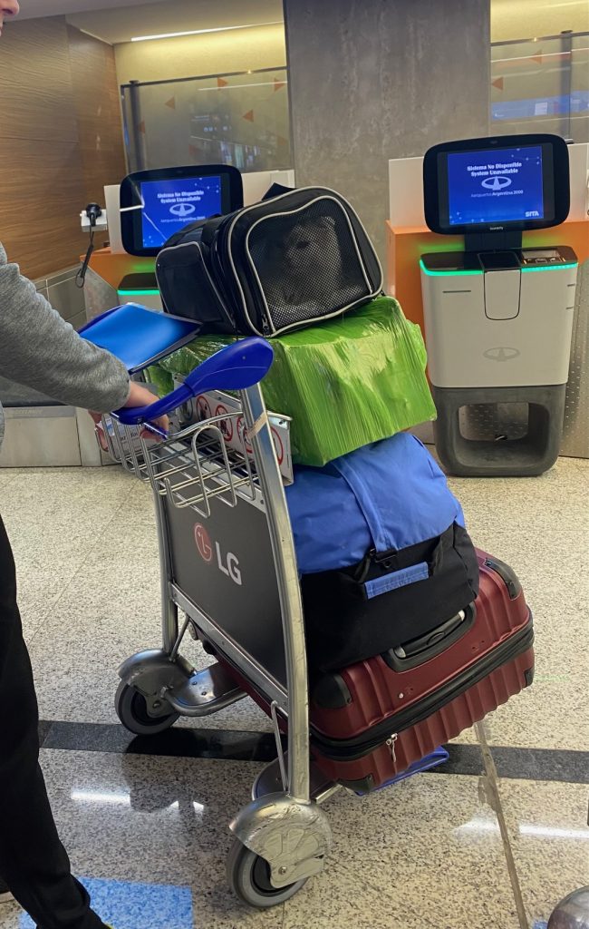 Cat Carrier at Airport in Argentina