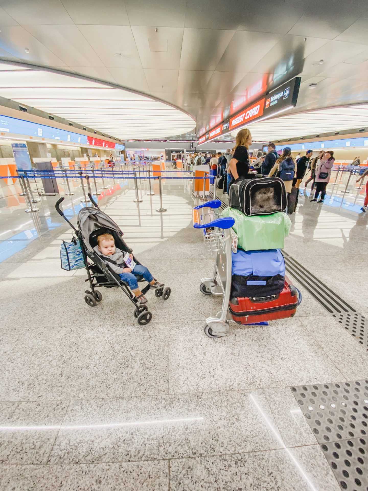 Cat Carrier at Airport