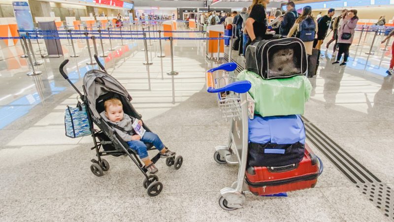 Cat Carrier at Airport