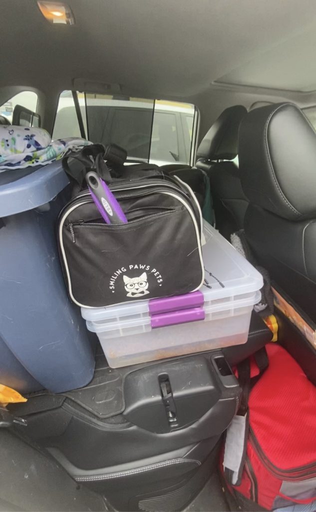 Cat Carrier & Litter Set Up In Car